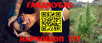 хмурый Кингисепп