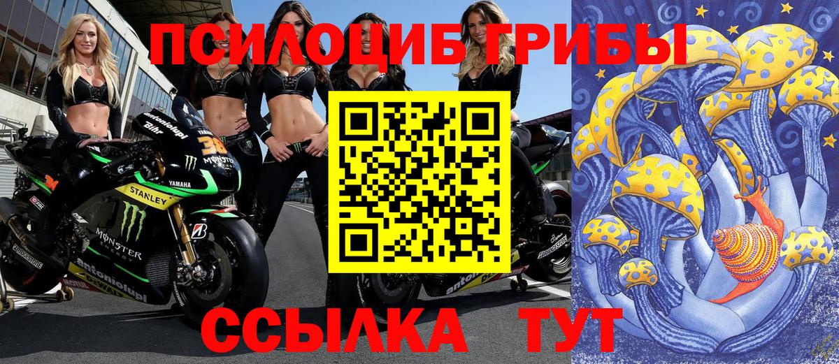 Галлюциногенные грибы MAGIC MUSHROOMS Кузнецк