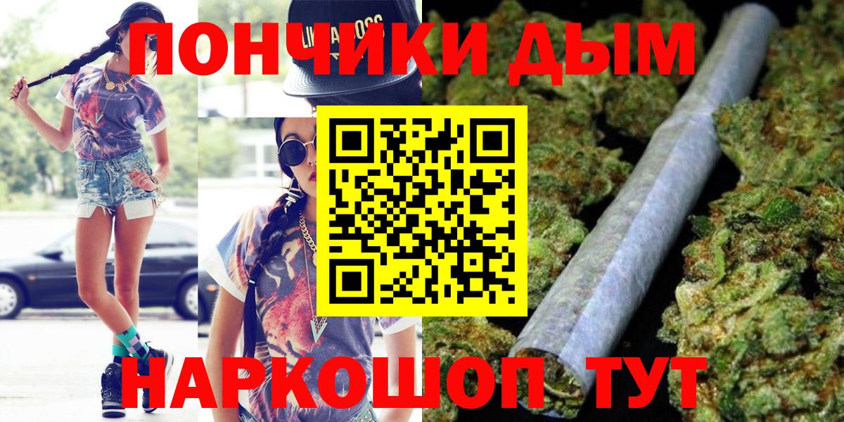 Конопля сатива Кузнецк